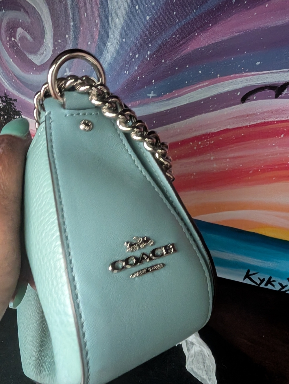 NWOT Coach Blake 20 Crossbody - Picture 4 of 7